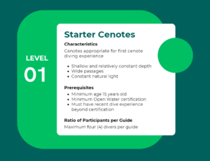 Level 1 - Starter Cenotes